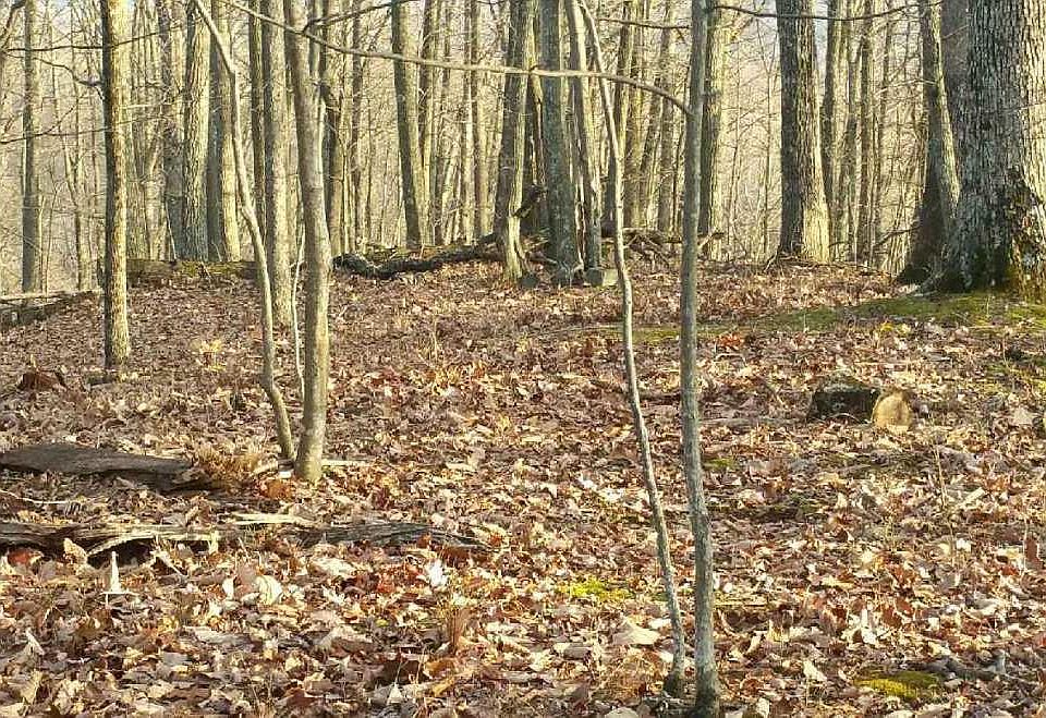 2nd image of McKees Creek Rd