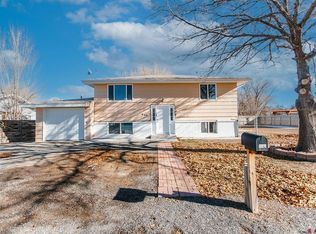 820 Jenson Drive, Delta, CO 81416