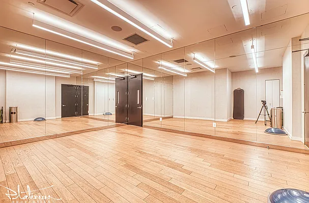 Rented by Platinum Properties | media 16