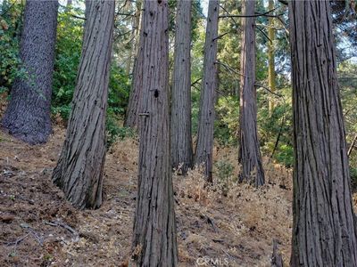 LOT 33 Bernard Dr, Crestline, CA, 92325