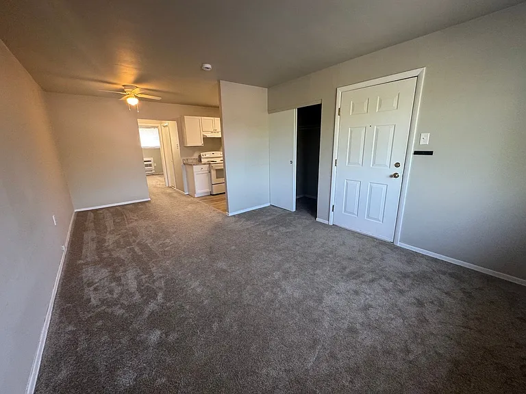 203 E Chestnut Street — Photo 6