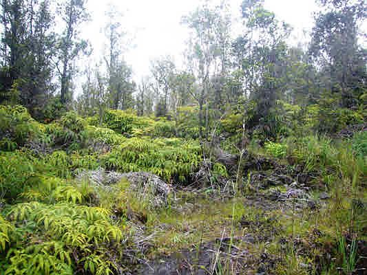 2nd image of Kaleponi Rd Lot 30