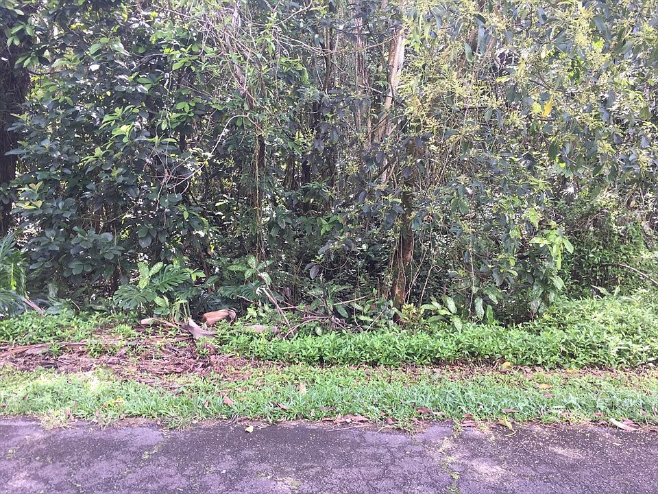 2nd image of Oopu St Lot 6