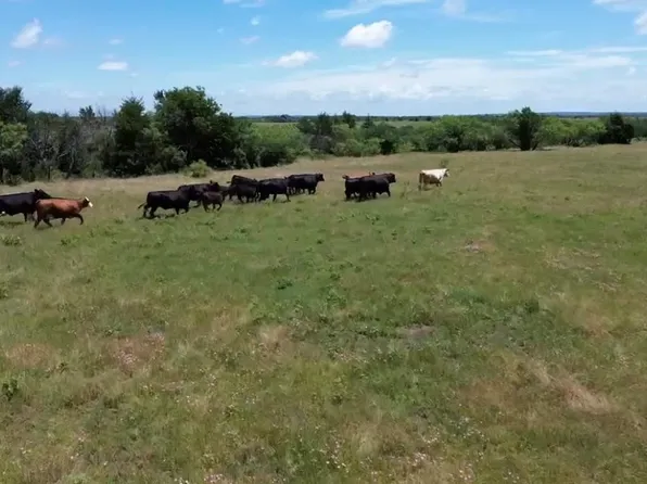 Ohanlon Rd, Whitesboro, TX 76273