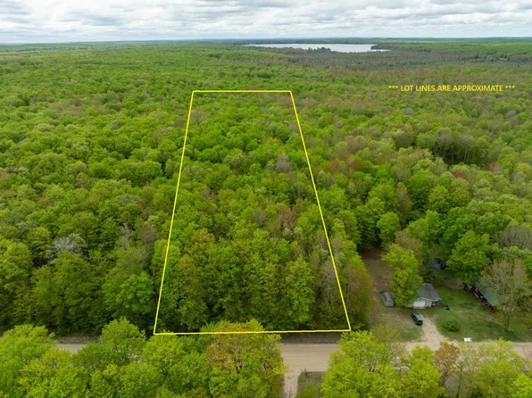 Covert Rd NE, Mancelona, MI 49659