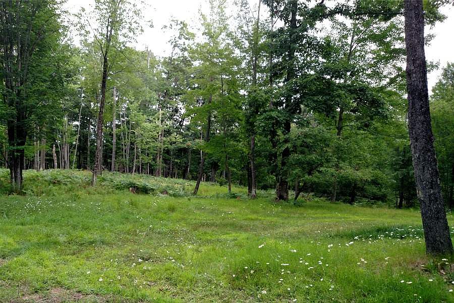 2nd image of 4023 Lake Ellwood Rd
