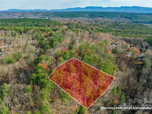 133 James Bob Stafford Dr, Nebo, NC 28761