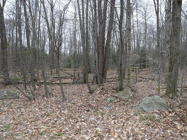 2nd image of 41 Miller Rd