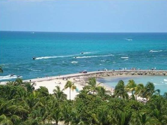 View