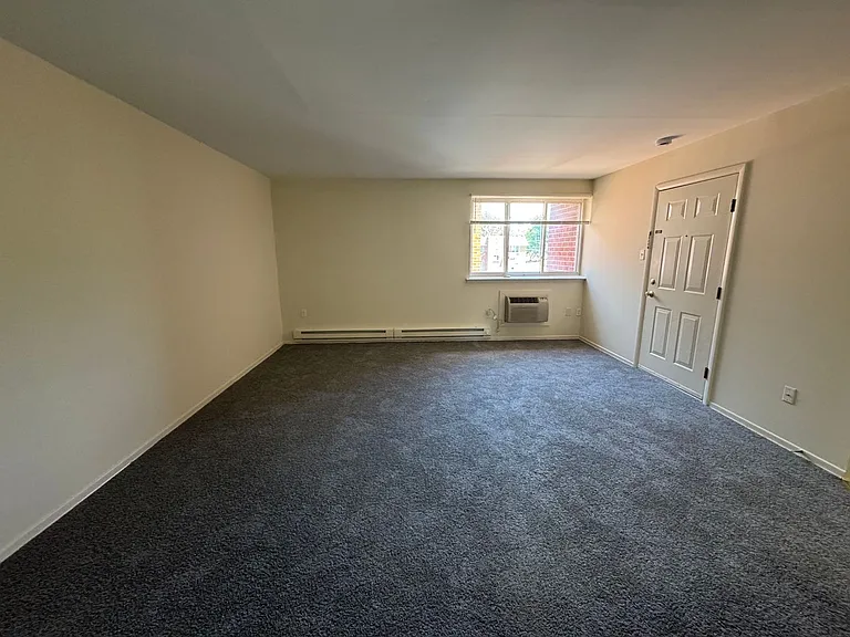 203 E Chestnut Street — Photo 16
