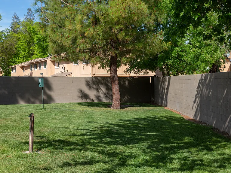 California Place Apartments — Photo 11