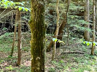 0 Coperas Cave Br, Beattyville, KY 41311