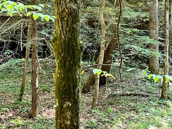 0 Coperas Cave Br, Beattyville, KY 41311