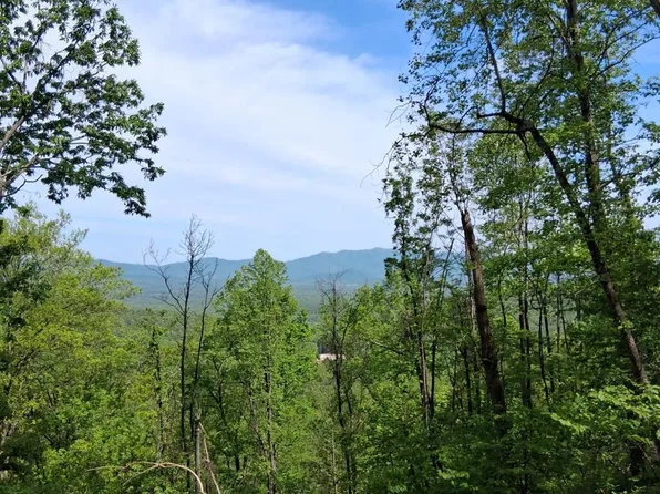 0 Robinson Gap Rd, Monroe, VA 24574