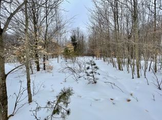 E M 42, Manton, MI 49663