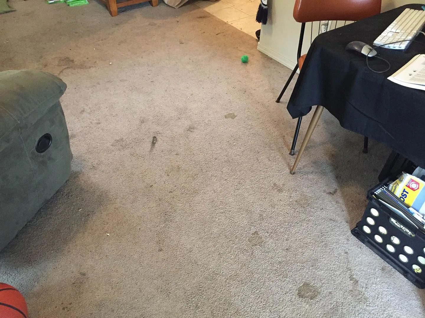 Studio ADU for rent in Lynden, WA — Photo 4