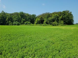 Lots 3 & 4 Fabius Road County Route 80} Rd #34, New Woodstock, NY 13122