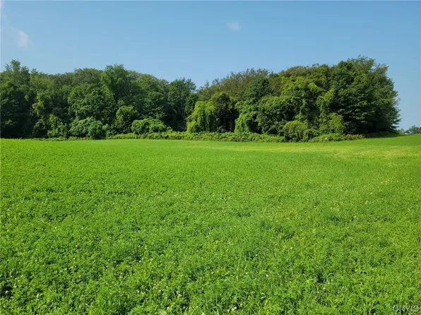 Lots 3 & 4 Fabius Road County Route 80} Rd #34, New Woodstock, NY 13122