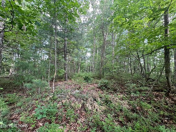 4th image of 241 Star Lake Way Lot 17