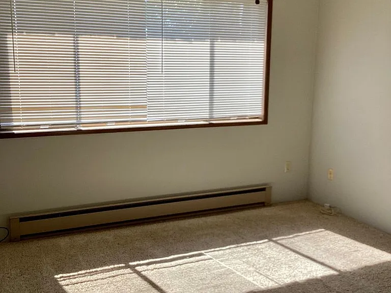2462 Hawkins St — Photo 10