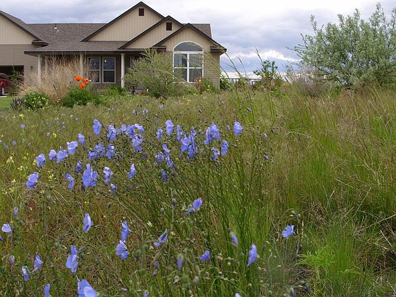 Ample acreage/close to town