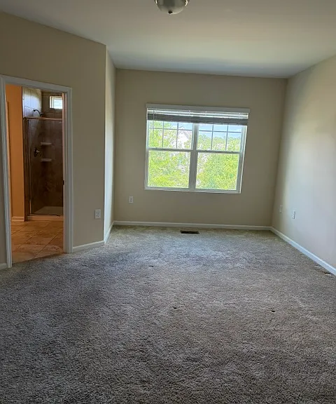 1015 Brightskies St — Photo 21