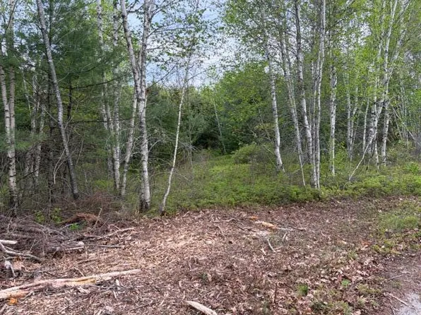 Lot #8 Thayer Road, Waltham, ME 04605