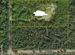 9910 S Spruce Rd, Idlewild, MI 49642