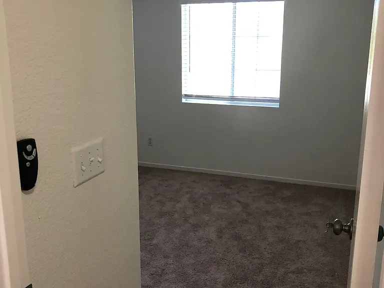 8742 Weeping Birch Ln — Photo 23