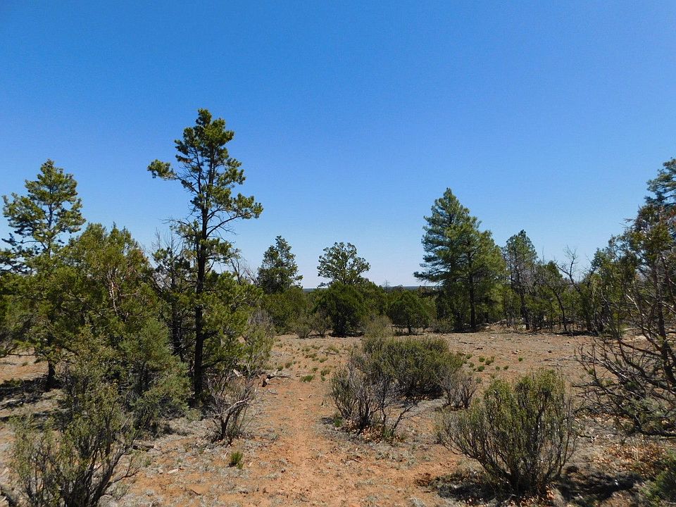 3517 Sunset Ridge Loop, Happy Jack, AZ 86024 Zillow