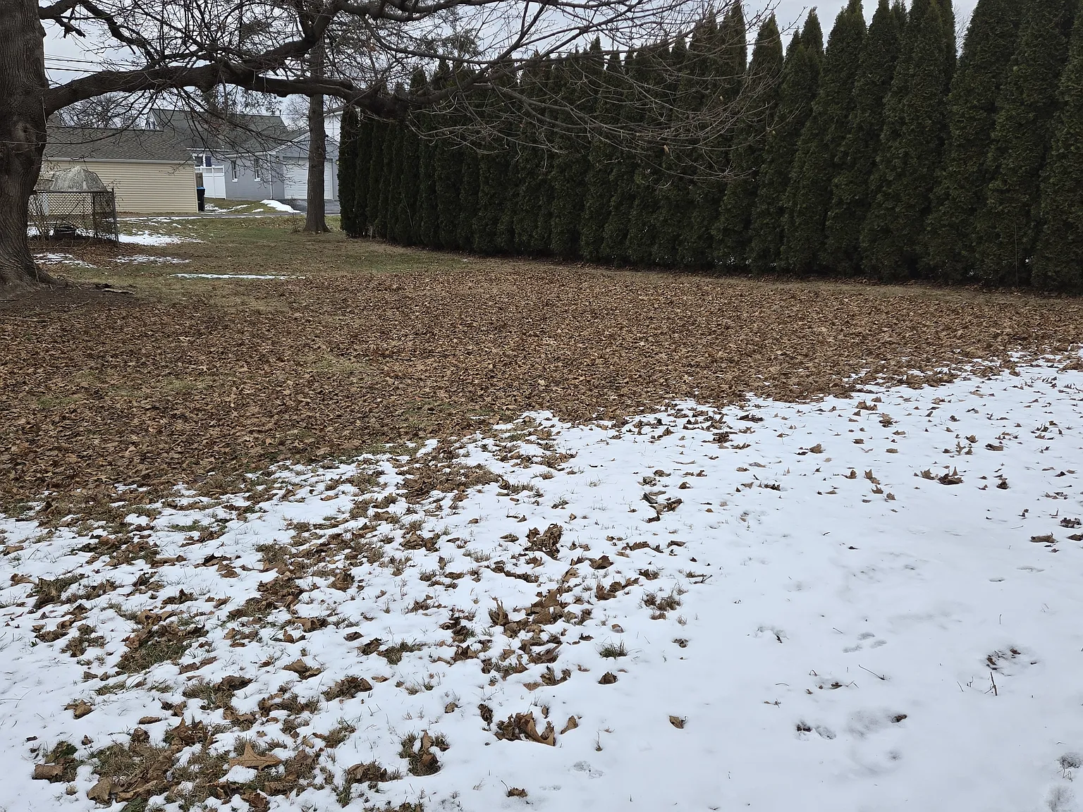 3 bed, 1040 sqft, $1,695 — Photo 2