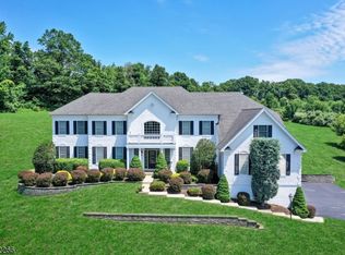 3 Ridgeline Dr, Long Valley, NJ 07853