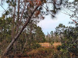 Sweet Hill Rd LOT HH 89, Polk City, FL 33868