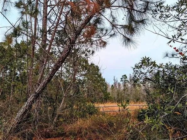 Sweet Hill Rd Lot Hh 89, Polk City, FL 33868
