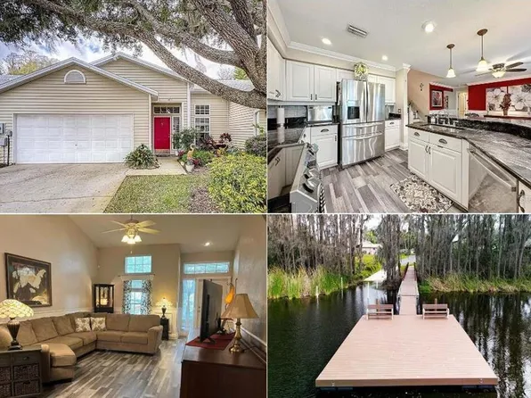 1651 Heron Cove Dr, Lutz, FL 33549