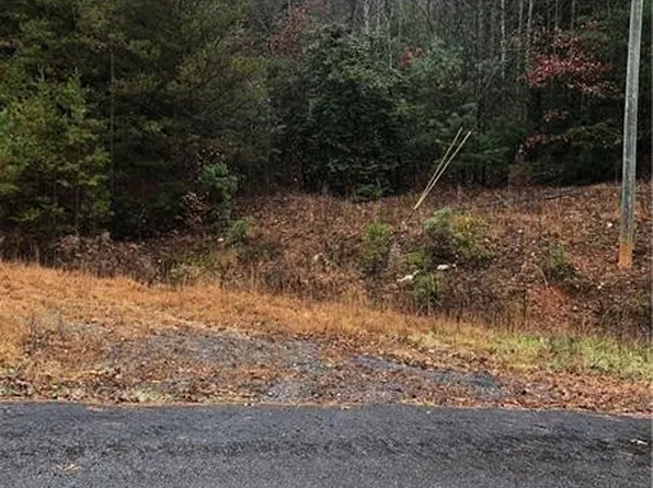0 Flagpole Rd, Ellijay, GA 30540