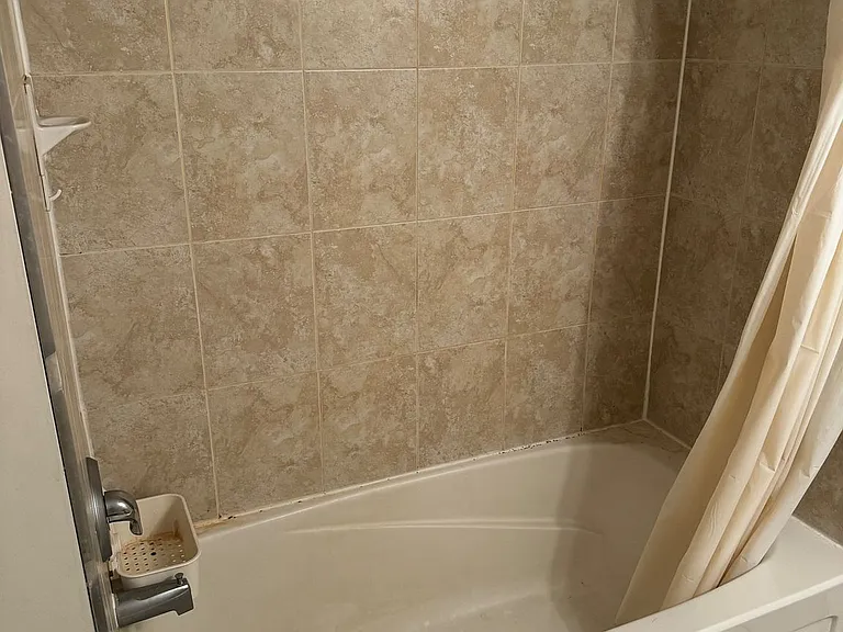 105 Poyntz Ave #BASEMENT — Photo 3