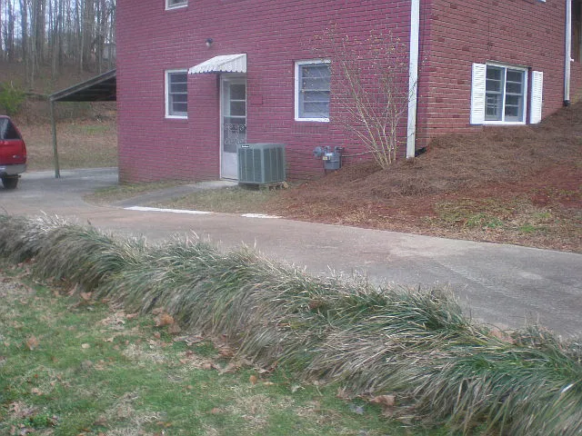 2 bed, 1400 sqft, $1,200 — Photo 2