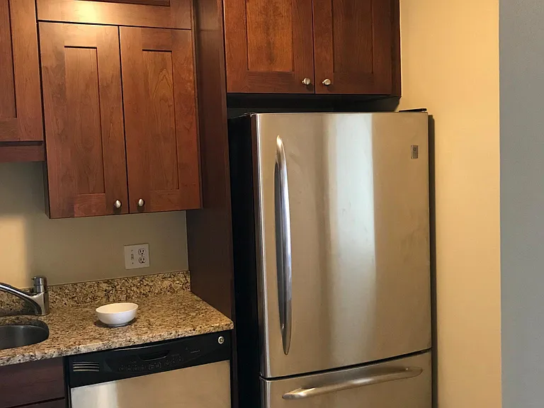 10 E Ontario St #3407 — Photo 5