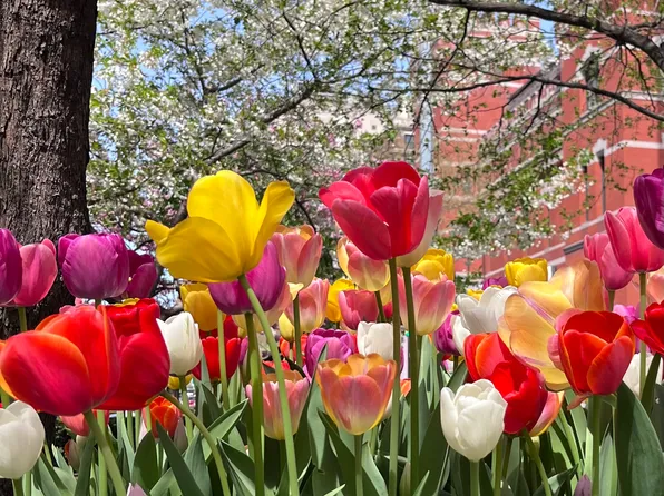 655 Park Avenue image 11 of 13