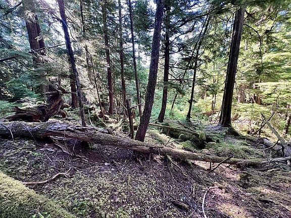 2nd image of LOT 1 Clark Bay Rd