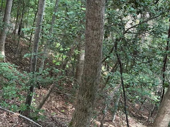 N Old State Highway 16, Millers Creek, NC 28651