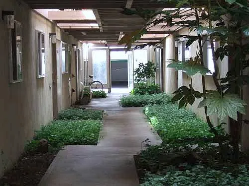 Campus Apartments — Photo 10