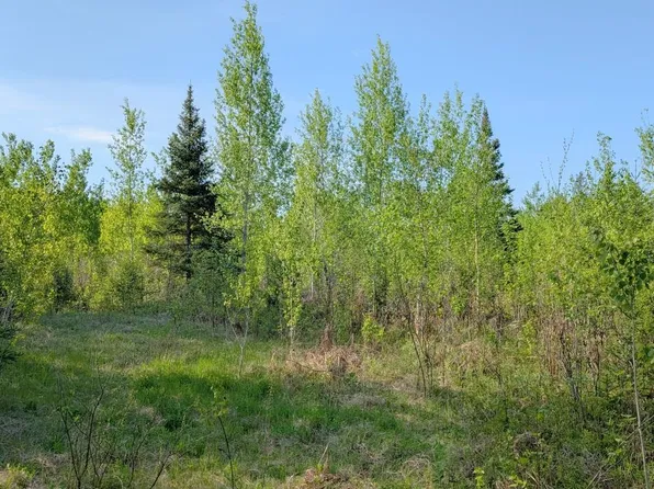 7573 Thumbnail Dr, Embarrass, MN 55732