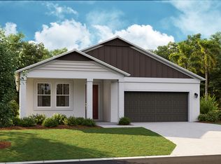 14481 Meadow Bird Ave, Riverview, FL 33579