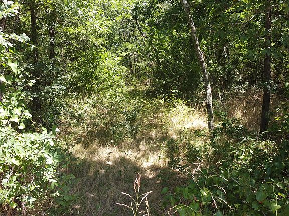 5th image of 4189 Willow Oak Bnd
