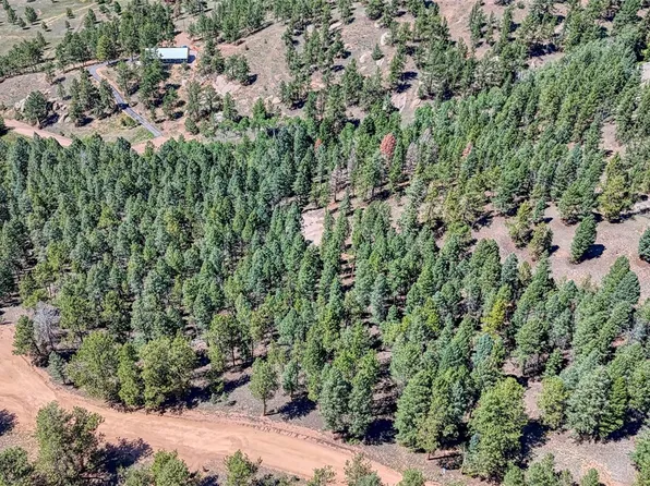 105 Carlton Circle LOT 1681, Florissant, CO 80816