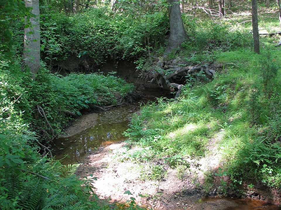 Creek in lower yard