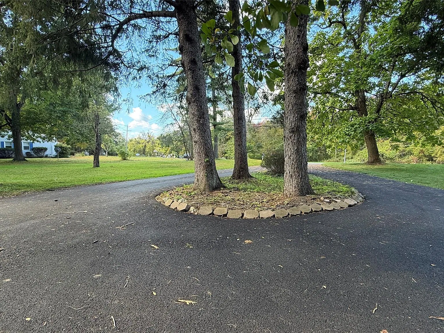 2 bed, 1.0 bath, 1310 sqft, $2,800 — Photo 3