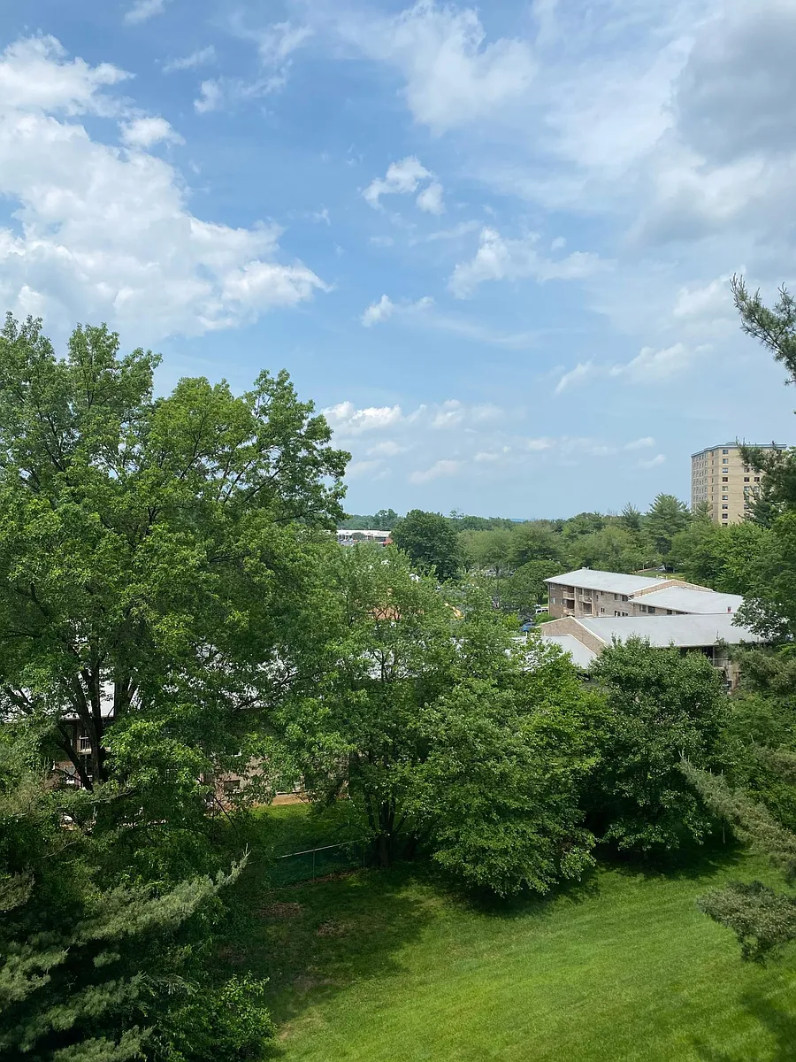 View from Dining Room Window - 2300 Pimmit Dr #508
